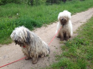 Bilder bis 051013 001