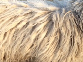 Bilder bis 051013 014