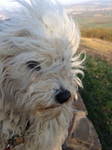 Bilder bis 051013 041