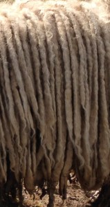 Bilder bis 051013 053