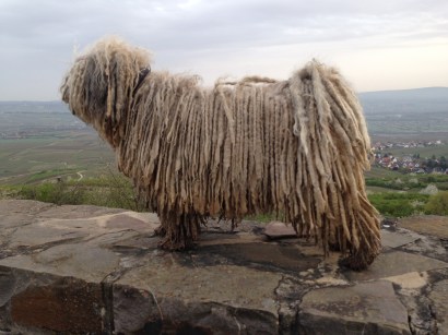 Bilder bis 051013 070