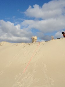 Bilder bis 051013 1104