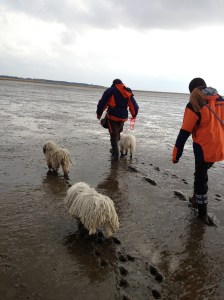 Bilder bis 051013 1155