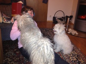 Bilder bis 051013 430