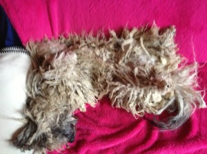 Bilder bis 051013 479