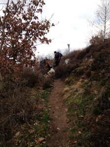 aus Handy Ingrid 017