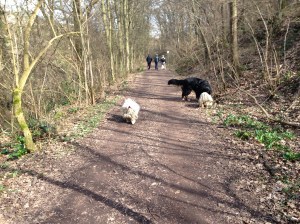 aus Handy Ingrid 026