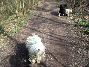 aus Handy Ingrid 027