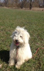 Bilder bis 051013 1220