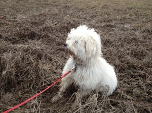 Bilder bis 051013 644