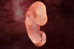 entwicklung_tag19a-300x200