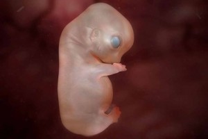 entwicklung_tag25-300x200