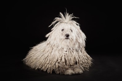 _MG_8000_tubbe_chili