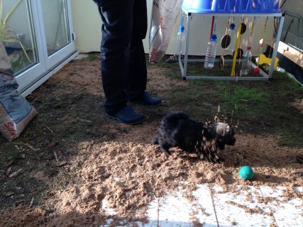 2015-11-16 09.56.52-3